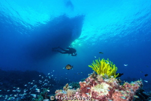 Tubbataha reef with diver and boat by Mathias Weck 